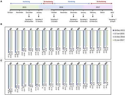 Seasonal Metabolic Investigation in Pomegranate (Punica granatum L.) Highlights the Role of Amino Acids in Genotype- and Organ-Specific Adaptive Responses to Freezing Stress